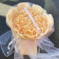 ˳ʻٵ