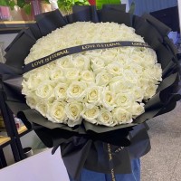 ˳ʻٵ